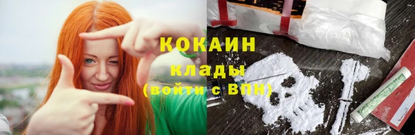 дживик Абаза