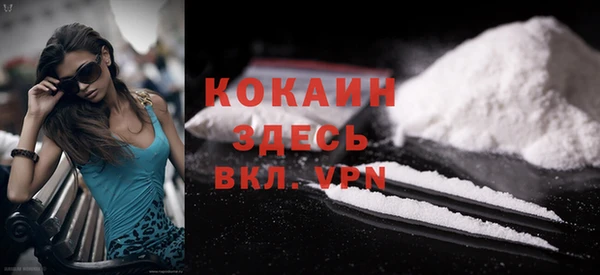 дживик Абаза