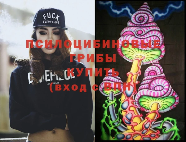 дживик Абаза