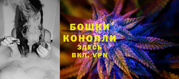 дживик Абаза